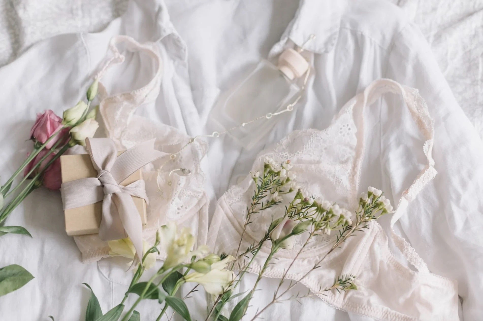 Care in choice, care for your body: how to choose ethical and sustainable women's underwear