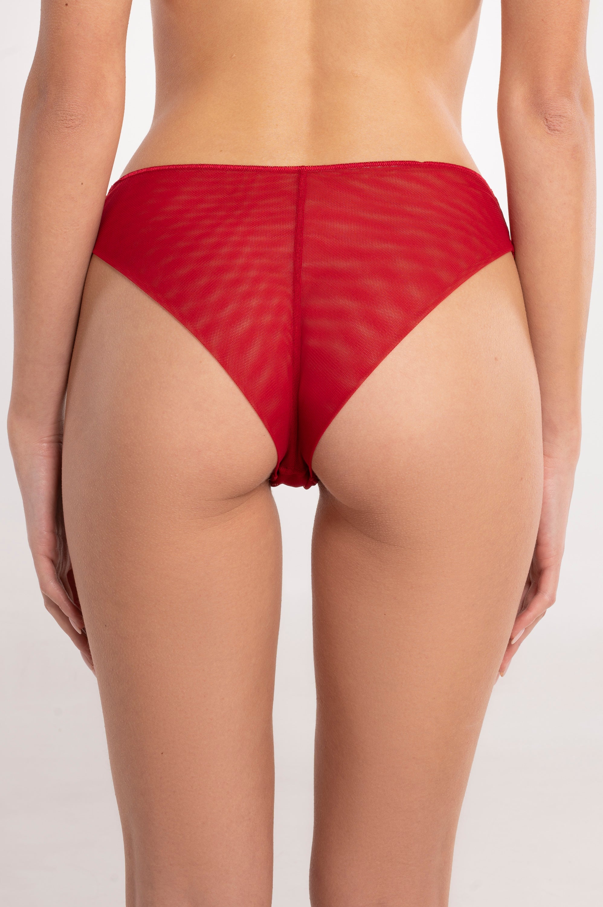 Low-rise briefs in tulle with embroidered tulle lace 7434